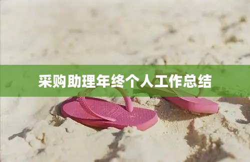 采购助理年终个人工作总结