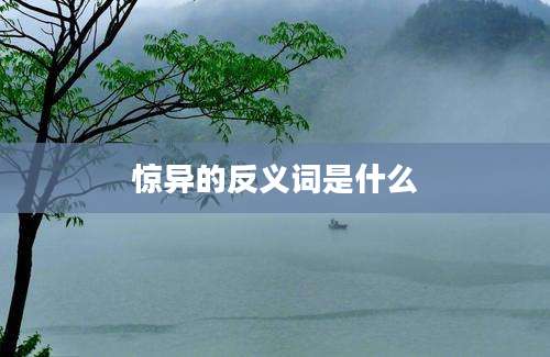 惊异的反义词是什么