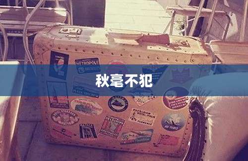 秋毫不犯