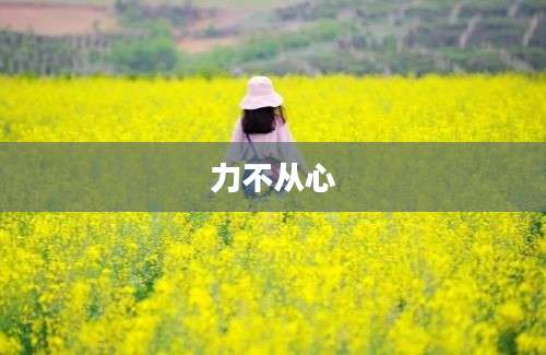 力不从心