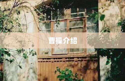 曹操介绍