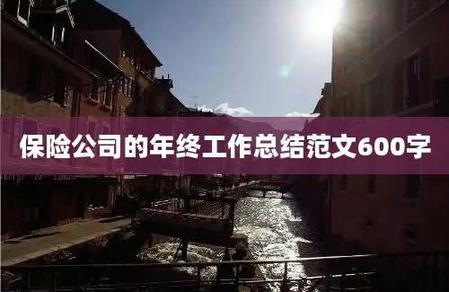 保险公司的年终工作总结范文600字