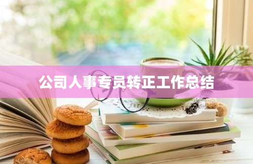 公司人事专员转正工作总结