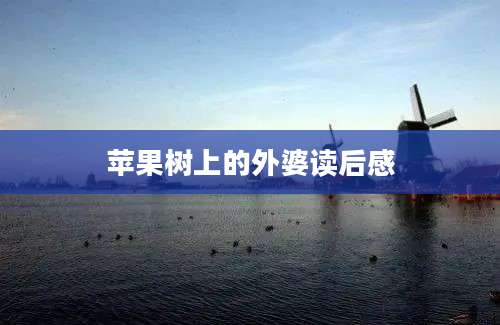 苹果树上的外婆读后感