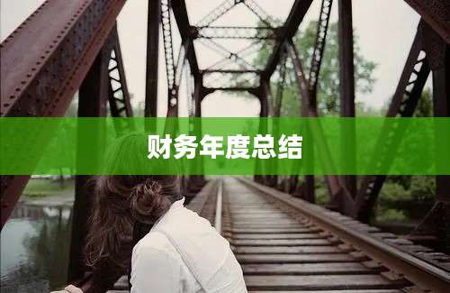 财务年度总结