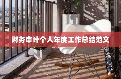 财务审计个人年度工作总结范文