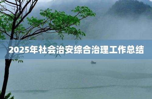 2025年社会治安综合治理工作总结