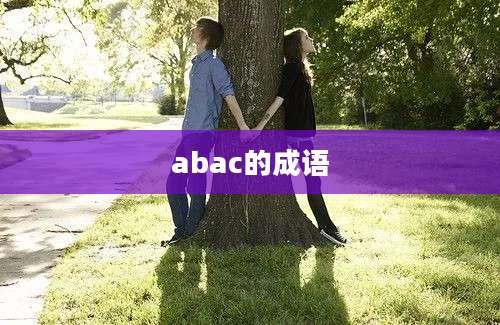 abac的成语