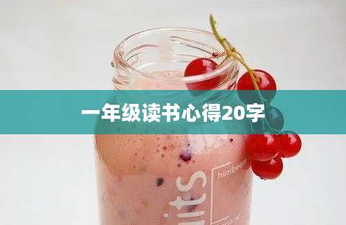 一年级读书心得20字