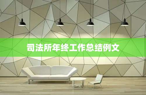 司法所年终工作总结例文