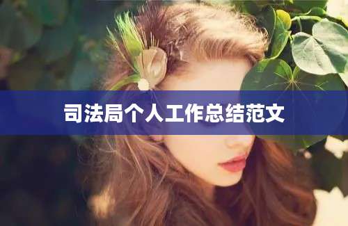 司法局个人工作总结范文