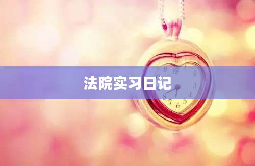 法院实习日记