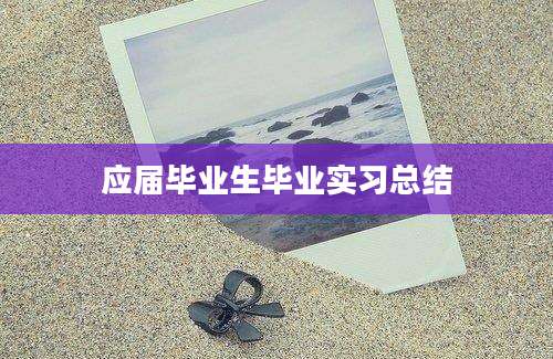 应届毕业生毕业实习总结