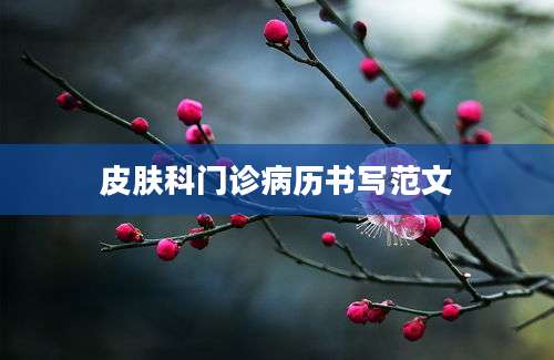 皮肤科门诊病历书写范文