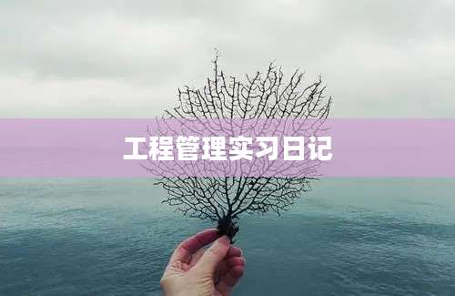 工程管理实习日记