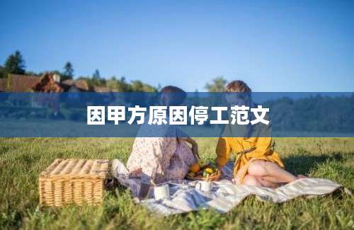 因甲方原因停工范文