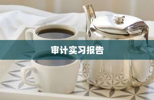 审计实习报告
