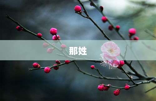 那姓