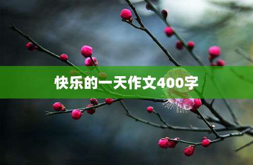 快乐的一天作文400字