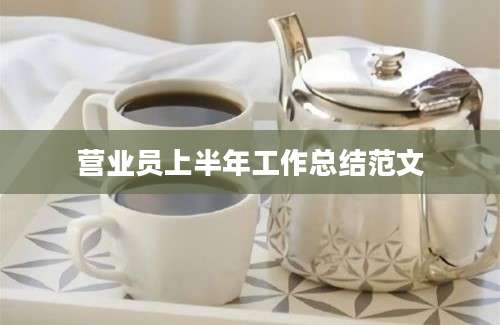 营业员上半年工作总结范文
