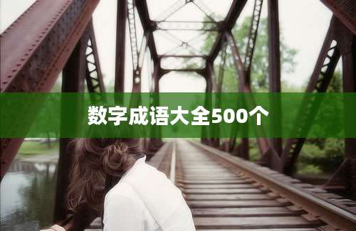 数字成语大全500个