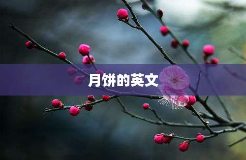月饼的英文