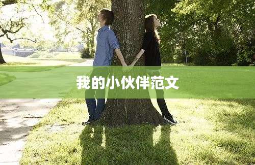 我的小伙伴范文