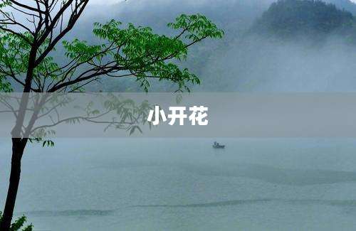 小开花