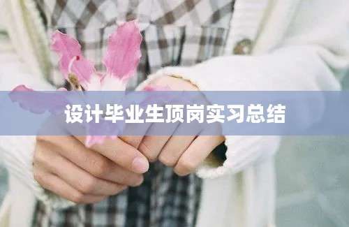 设计毕业生顶岗实习总结