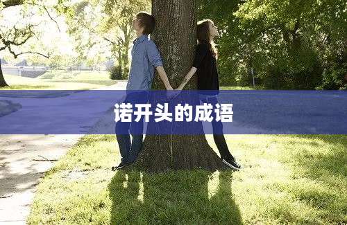 诺开头的成语
