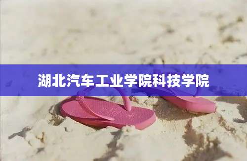 湖北汽车工业学院科技学院