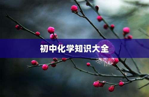 初中化学知识大全