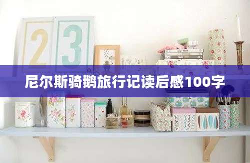 尼尔斯骑鹅旅行记读后感100字