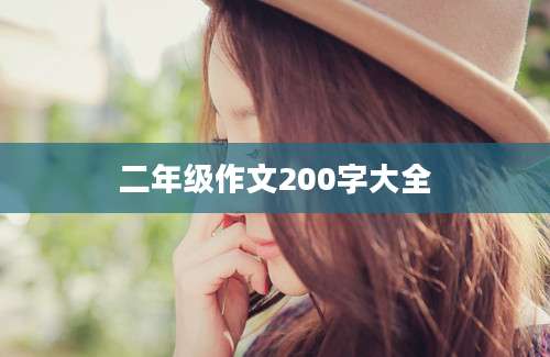 二年级作文200字大全