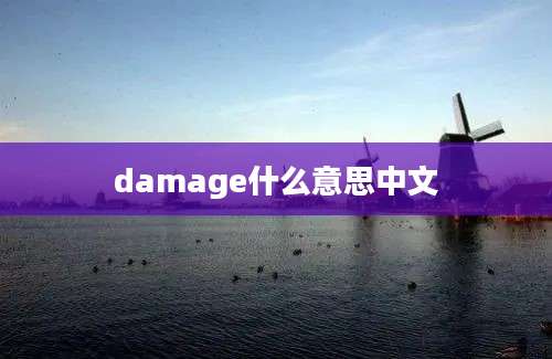 damage什么意思中文