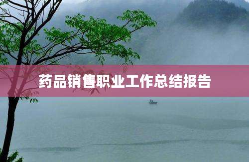 药品销售职业工作总结报告