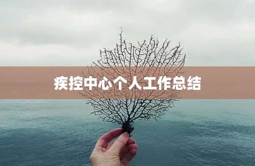 疾控中心个人工作总结