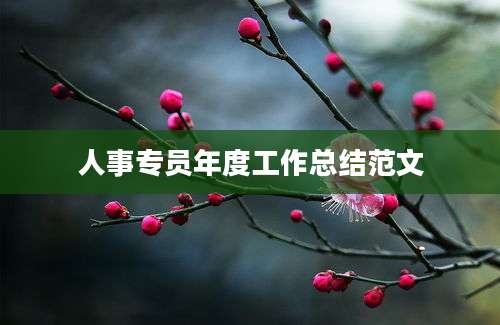 人事专员年度工作总结范文