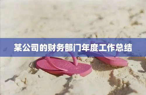 某公司的财务部门年度工作总结