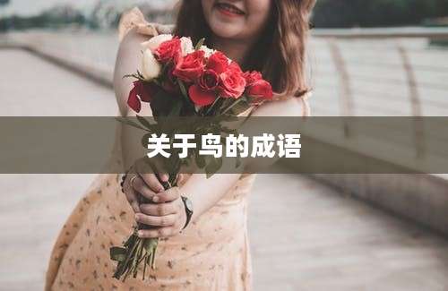 关于鸟的成语