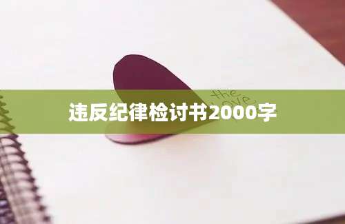 违反纪律检讨书2000字