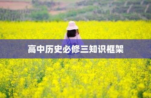 高中历史必修三知识框架