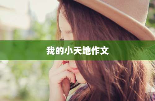 我的小天地作文