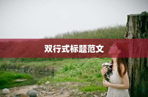 双行式标题范文