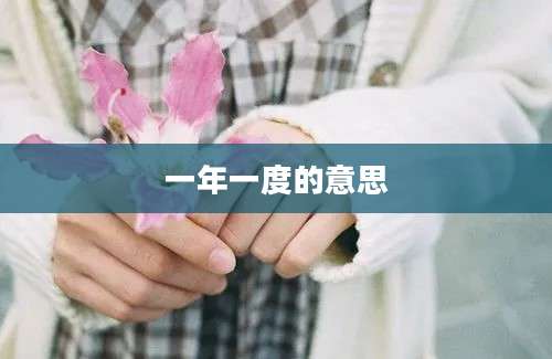一年一度的意思