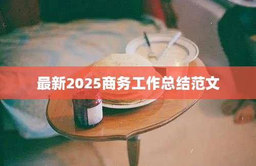 最新2025商务工作总结范文