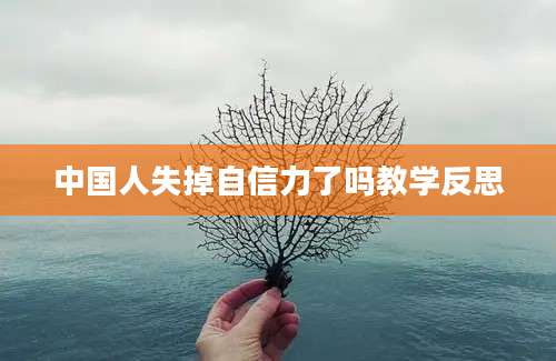 中国人失掉自信力了吗教学反思