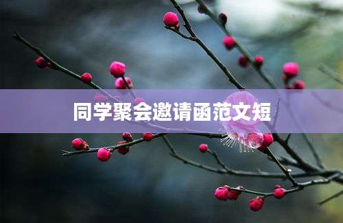 同学聚会邀请函范文短