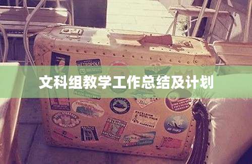 文科组教学工作总结及计划