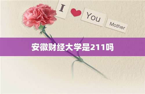 安徽财经大学是211吗